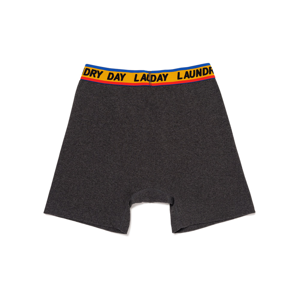 LAUNDRY DAY FLEA BOXER BRIEF CH-B