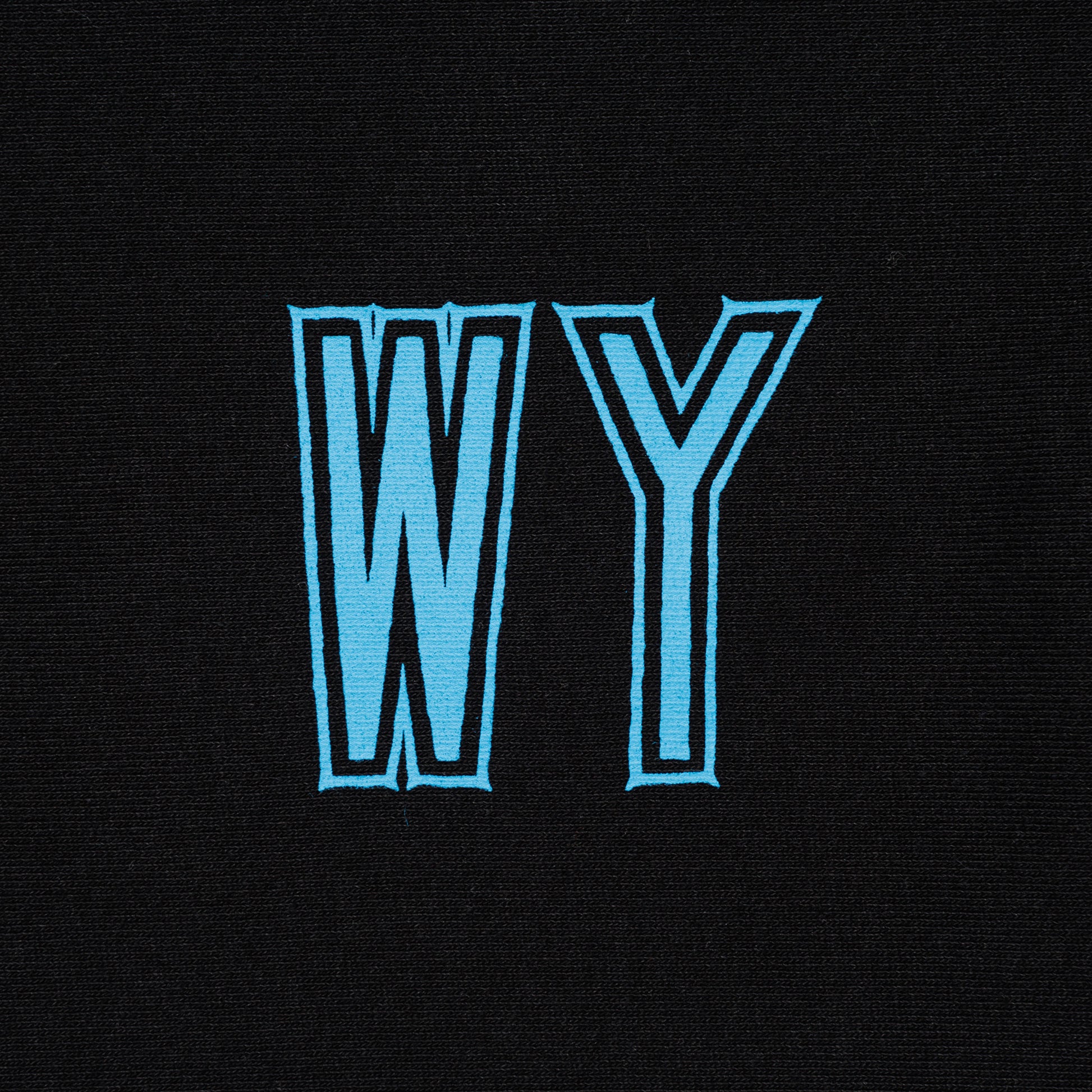 WASTED YOUTH HEAVY WEIGHT SWEATSHIRT#1 BK-C