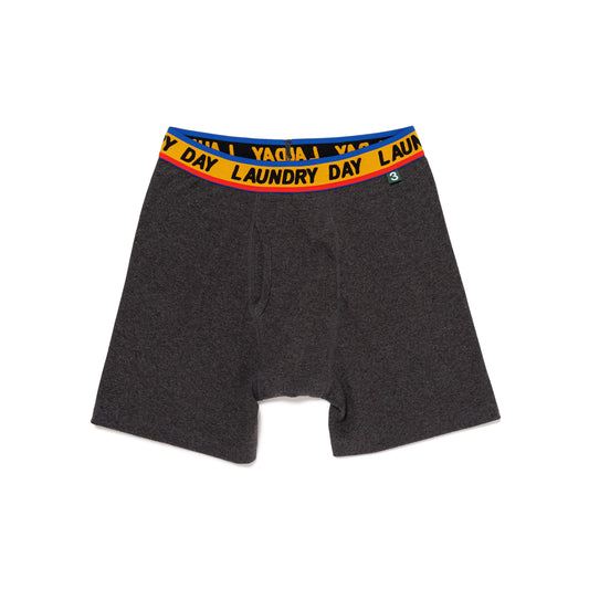 LAUNDRY DAY FLEA BOXER BRIEF CH-A