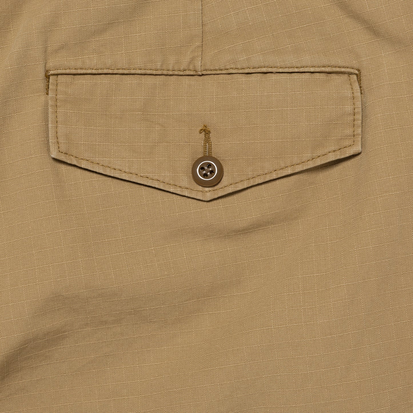 HUMAN MADE FISHING PANTS BG-F.jpg