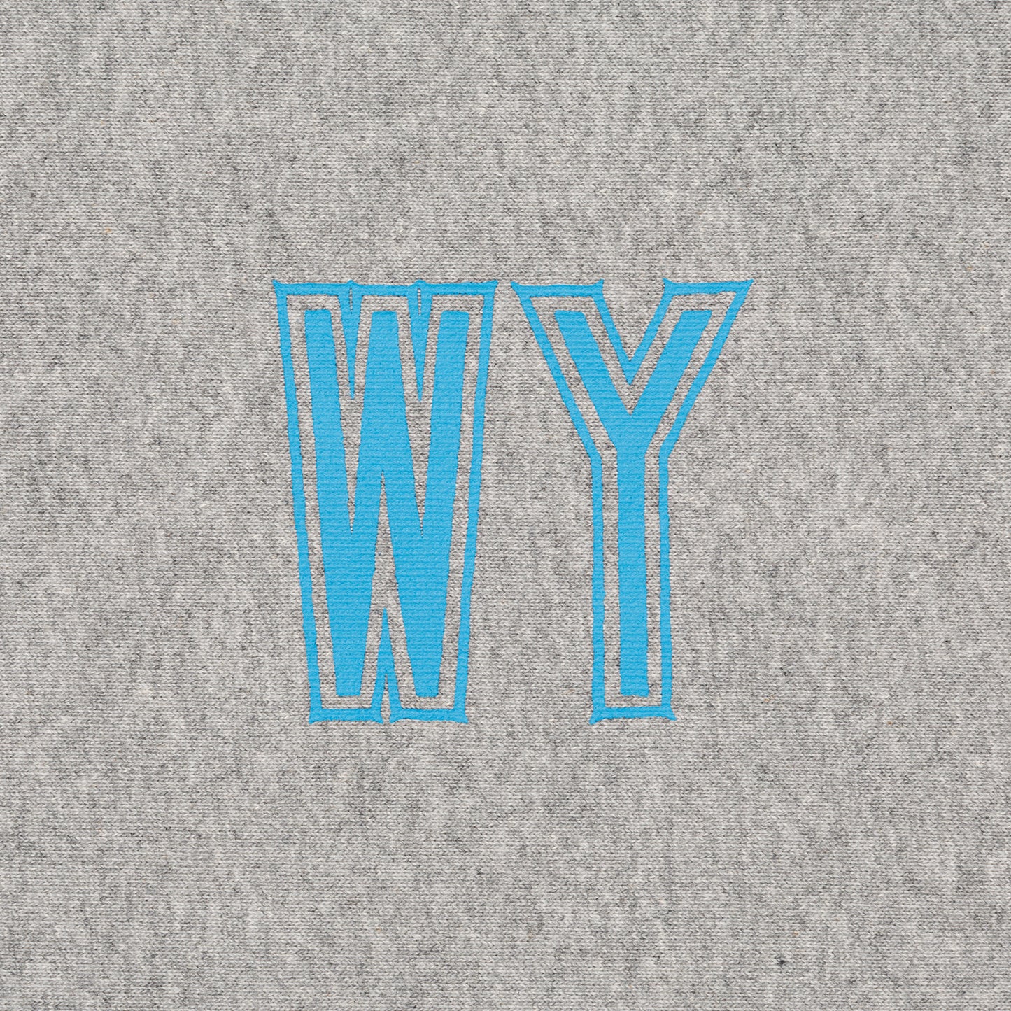 WASTED YOUTH HEAVY WEIGHT SWEATSHIRT#1 GY-C