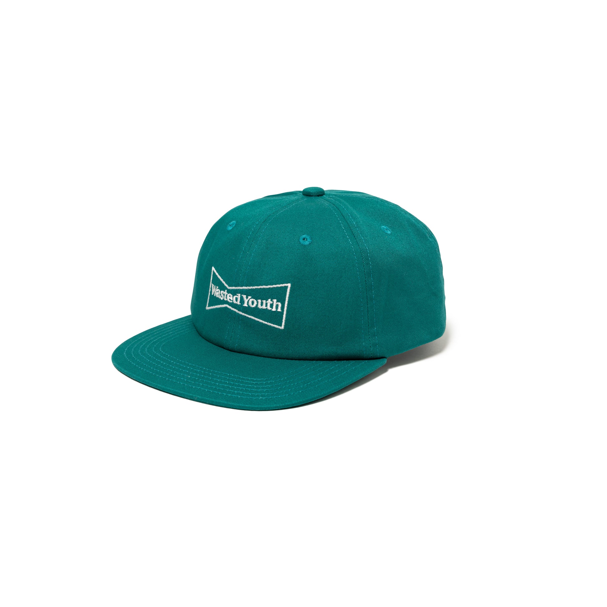 Wasted Youth 6 PANEL CAP GR-A